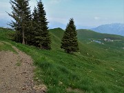 91 A questo punto per scendere ai Piani prendo la scorciatoia in discesa sui pascoli a dx